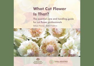 Cut Flowers