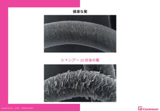 Copyright Reserved 　 (C)2014 　 COSMEKER.All.Right
図
健康な髪
シャンプー 20 回後の髪
 