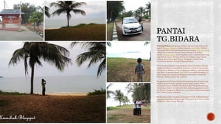 Tanjung Bidara merupakan sebuah pantai yang terkenal di
negeri Melaka, Malaysia dalam daerah Alor Gajah. Pantai
Tanjung Bidara terletak bersebelahan dengan Kem Terendak,
sebuah kem tentera. Pantai yang terletak 10 km dari
bandar Masjid Tanah ini merupakan pantai perkelahan yang
terkenal di negeri Melaka. Selain itu terdapat juga Pantai
Padang Kemunting dan Pantai Pengkalan Balak yang
berdekatan dengan Pantai Tanjung Bidara.
DUN Tanjung Bidara yang terletak dalam Parlimen Masjid
Tanah, mempunyai penduduk seramai 13,002 orang dengan
94.4 peratus Melayu, Cina 4.5 peratus, India 1.3 peratus dan
lain-lain 0.2 peratus pada 2008. DUN ini terdiri daripada 11
buah kampung tradisional dengan kebanyakan penduduk
bekerja sebagai petani dan nelayan.
Pengunjung ke Pantai Padang Kemunting akan berpeluang
melihat penyu karah, spesies yang hampir pupus. Pusat
Penetasan Penyu Jabatan Perikanan di Padang Kemunting
berperanan dalam menyelamat dan melindungi penyu karah
ini. Pantai Pengkalan Balak pula merupakan kesinambungan
dari Pantai Tanjung Bidara
Berdekatan pantai terdapat Kompleks Falak Al-Khawarizmi
yang menempatkan Balai Cerap, Planetarium, Pusat Latihan
Falak dan Balai Cerap Robotik.
 