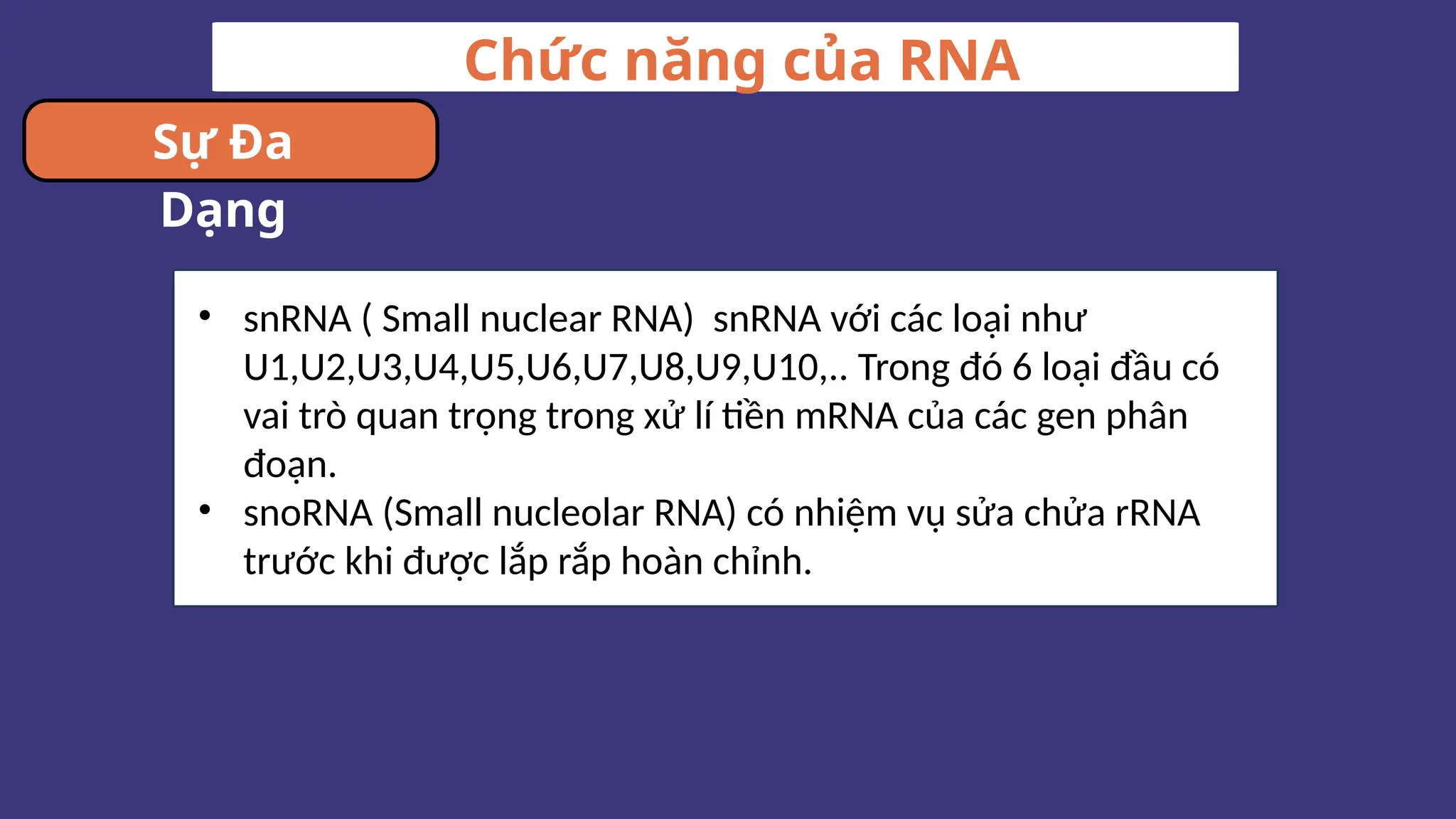 Chức năng của RNA
Sự Đa
Dạng
• snRNA ( Small nuclear RNA) snRNA với các loại như
U1,U2,U3,U4,U5,U6,U7,U8,U9,U10,.. Trong đó 6 loại đầu có
vai trò quan trọng trong xử lí tiền mRNA của các gen phân
đoạn.
• snoRNA (Small nucleolar RNA) có nhiệm vụ sửa chửa rRNA
trước khi được lắp rắp hoàn chỉnh.
 
