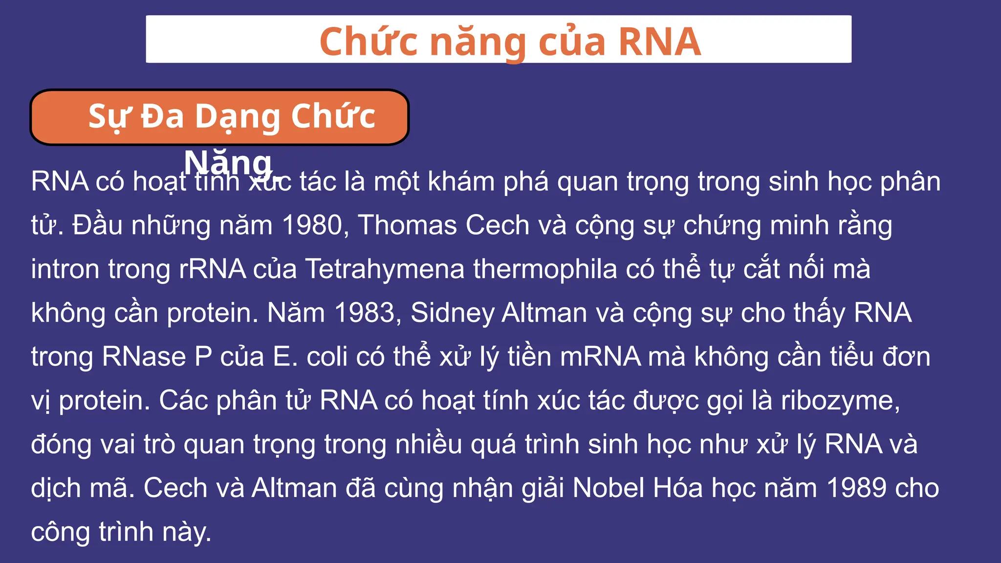 Chức năng của RNA
Sự Đa Dạng Chức
Năng
RNA có hoạt tính xúc tác là một khám phá quan trọng trong sinh học phân
tử. Đầu những năm 1980, Thomas Cech và cộng sự chứng minh rằng
intron trong rRNA của Tetrahymena thermophila có thể tự cắt nối mà
không cần protein. Năm 1983, Sidney Altman và cộng sự cho thấy RNA
trong RNase P của E. coli có thể xử lý tiền mRNA mà không cần tiểu đơn
vị protein. Các phân tử RNA có hoạt tính xúc tác được gọi là ribozyme,
đóng vai trò quan trọng trong nhiều quá trình sinh học như xử lý RNA và
dịch mã. Cech và Altman đã cùng nhận giải Nobel Hóa học năm 1989 cho
công trình này.
 