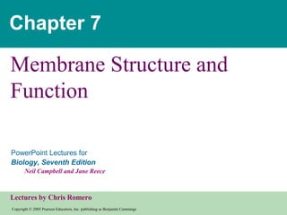 Copyright © 2005 Pearson Education, Inc. publishing as Benjamin Cummings
PowerPoint Lectures for
Biology, Seventh Edition
Neil Campbell and Jane Reece
Lectures by Chris Romero
Chapter 7
Membrane Structure and
Function
 