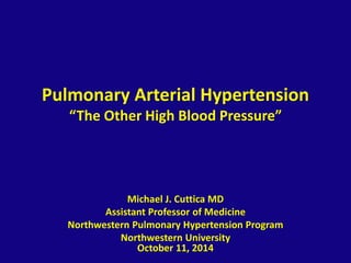 Pulmonary Arterial Hypertension 
“The Other High Blood Pressure” 
Michael J. Cuttica MD 
Assistant Professor of Medicine 
Northwestern Pulmonary Hypertension Program 
Northwestern University 
October 11, 2014 
 