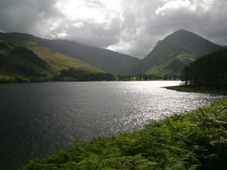 Cutting Edge Employment Law Issues