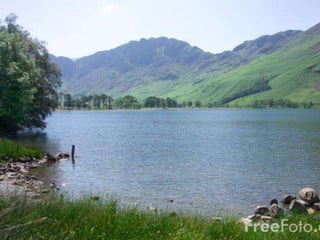 Cutting Edge Employment Law Issues