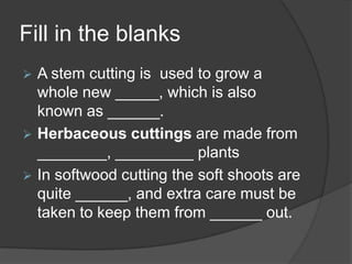 Fill in the blanks
   A stem cutting is used to grow a
    whole new _____, which is also
    known as ______.
   Herbaceous cuttings are made from
    ________, _________ plants
   In softwood cutting the soft shoots are
    quite ______, and extra care must be
    taken to keep them from ______ out.
 