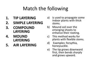 Match the following
1.   TIP LAYERING      a) is used to propagate some
                          indoor plants with thick
2.   SIMPLE LAYERING      stems.
3.   COMPOUND          b) Mound soil over the
                          emerging shoots to
     LAYERING             enhance their rooting.
4.   MOUND             c) This method works for
     LAYERING             plants with flexible stems.
                       d) Examples: forsythia,
5.   AIR LAYERING         honeysuckle.
                       e) The tip grows downward
                          first, then bends sharply
                          and grows upward.
 