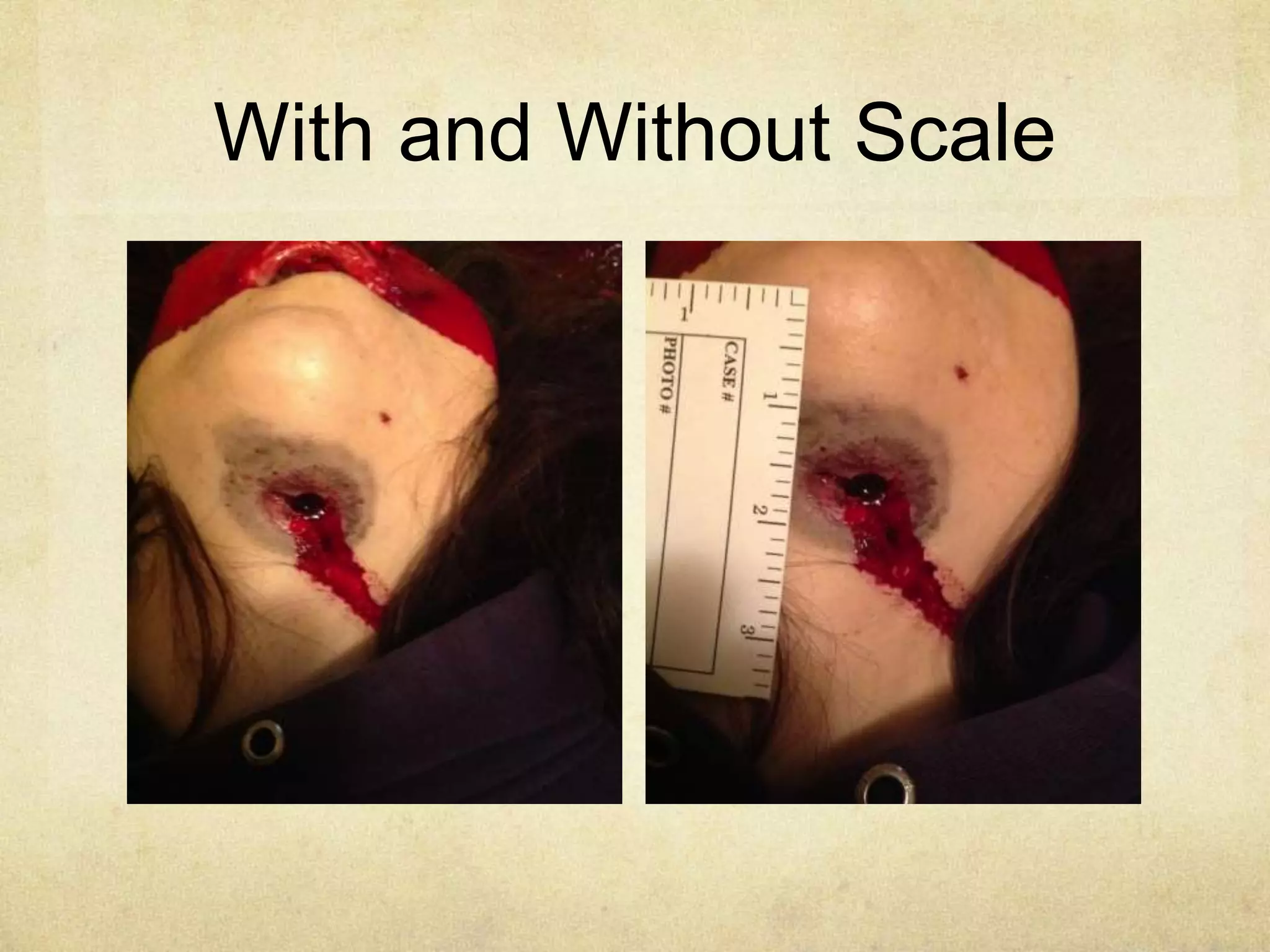 With and Without Scale
 