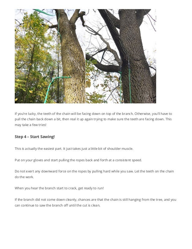 Cutting down 30 foot high tree branches without climbing