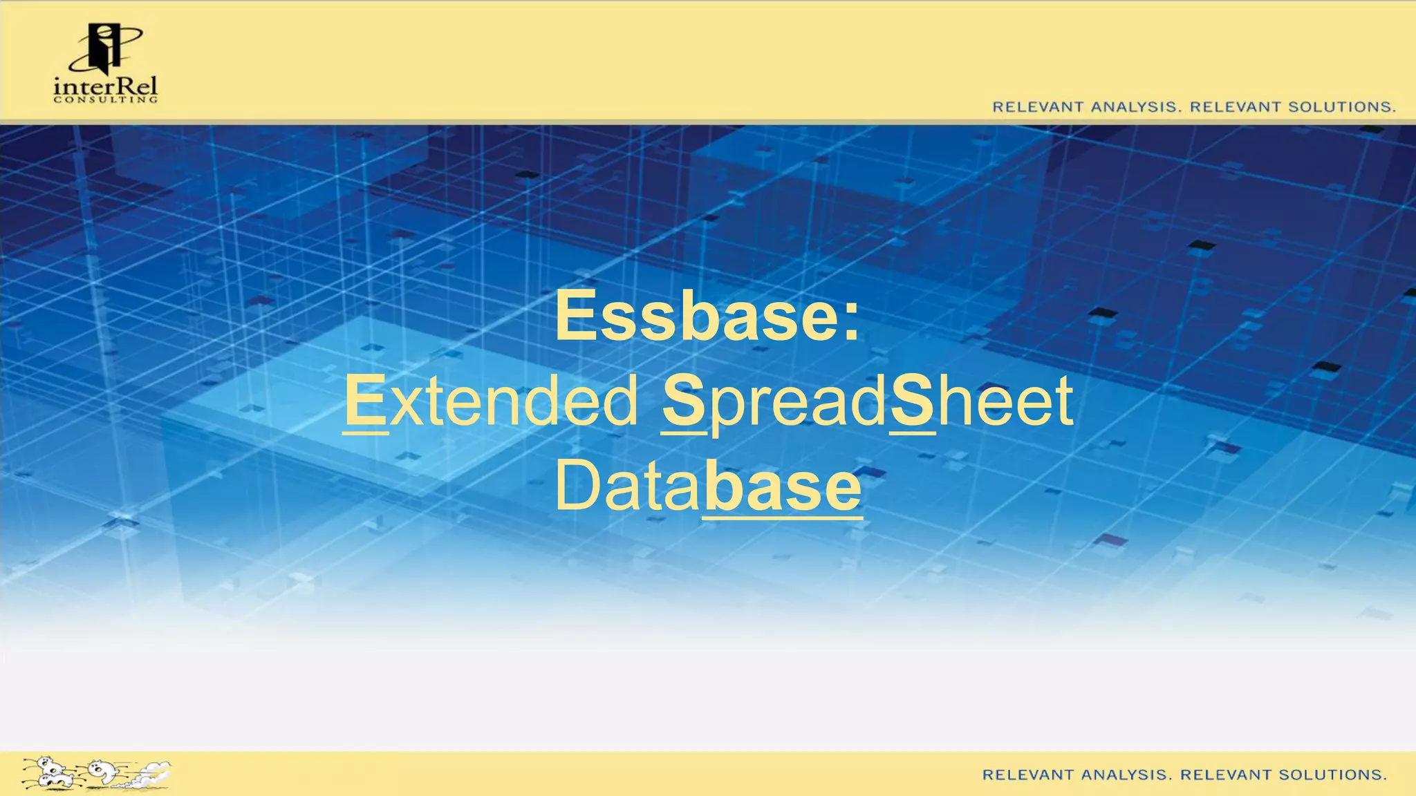 Essbase:
Extended SpreadSheet
Database
 