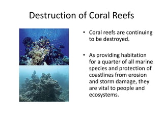 Destruction of Coral Reefs
             • Coral reefs are continuing
               to be destroyed.

             • As providing habitation
               for a quarter of all marine
               species and protection of
               coastlines from erosion
               and storm damage, they
               are vital to people and
               ecosystems.
 