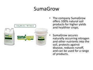 SumaGrow
    • The company SumaGrow
      offers 100% natural soil
      products for higher yields
      and healthier crops.

    • SumaGrow secures
      naturally occurring nitrogen
      and other nutrients into the
      soil, protects against
      disease, reduces runoff,
      and can be used for a range
      of products.
 