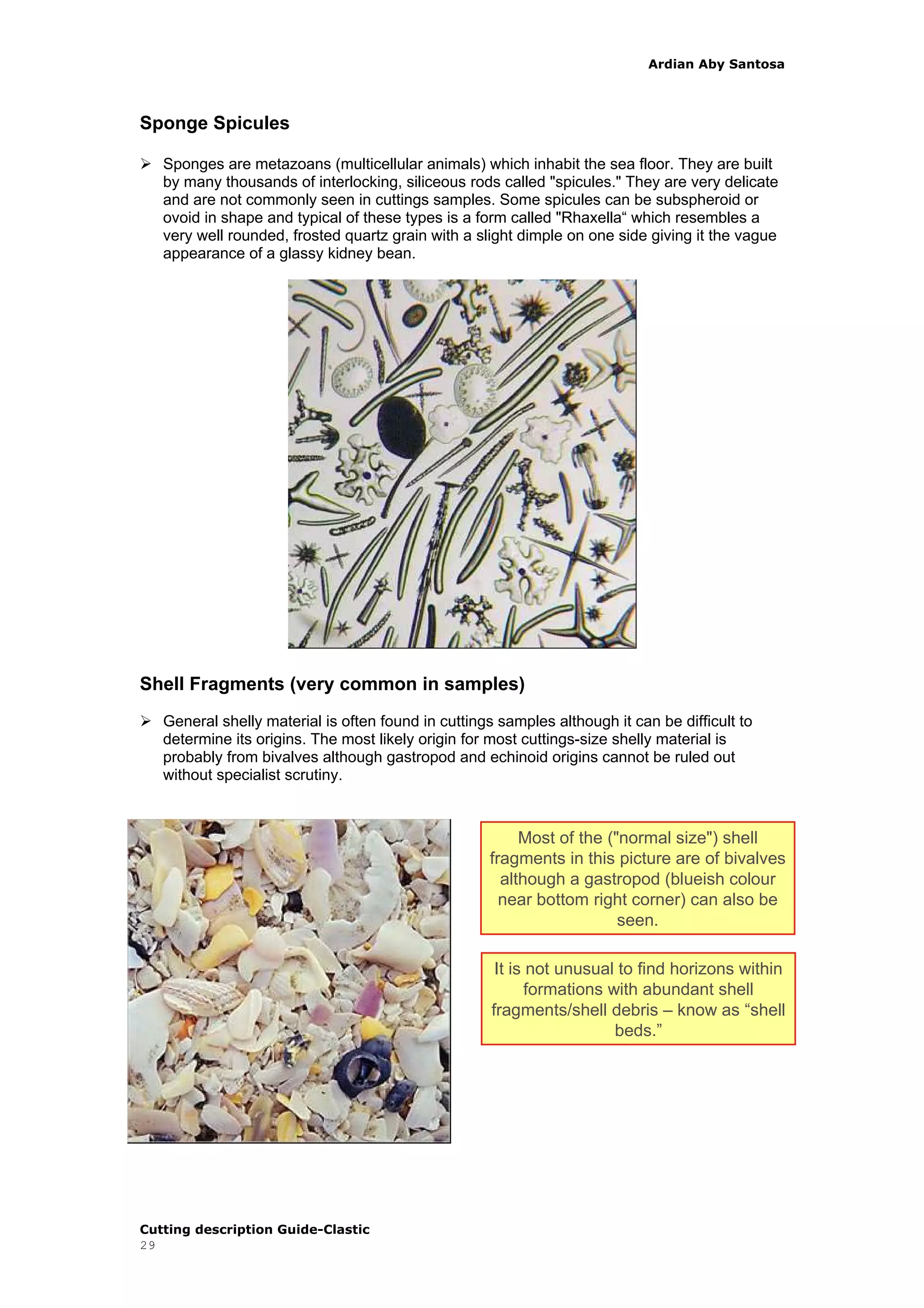 Cuttings descriptions-clastic | PDF