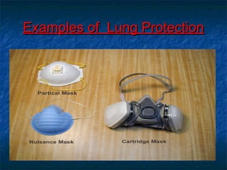 EExxaammpplleess ooff LLuunngg PPrrootteeccttiioonn 
 