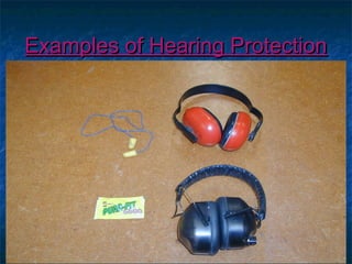 EExxaammpplleess ooff HHeeaarriinngg PPrrootteeccttiioonn 
 