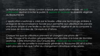 Le National Museum History London a lancé une application mobile, un outil
collaboratif destiné à inciter le public à explorer et recenser la diversité végétale
du Royaume-Uni
L’application « Leafsnap », créé par le Musée, utilise une technologie similaire à
un logiciel de reconnaissance faciale pour permettre aux utilisateurs de prendre
une photo simple d’une feuille ou de tout élément végétal et de la comparer à
une base de données de 156 espèces d’arbres.
Chaque fois que les utilisateurs prennent et chargent une photo de
feuille, l’image et la situation géographique sont ajoutées à la base de données
Leafsnap. Cette information peut ensuite être utilisée par des scientifiques et
botanistes afin de surveiller la biodiversité générale du Royaume-Uni, et d’autres
sujets plus précis tels que l’effet du changement climatique sur les arbres.
 