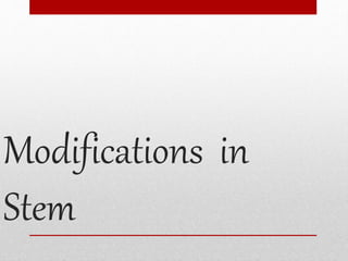Modifications in
Stem
 