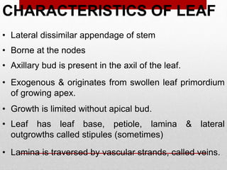 • Lateral dissimilar appendage of stem
• Borne at the nodes
• Axillary bud is present in the axil of the leaf.
• Exogenous & originates from swollen leaf primordium
of growing apex.
• Growth is limited without apical bud.
• Leaf has leaf base, petiole, lamina & lateral
outgrowths called stipules (sometimes)
• Lamina is traversed by vascular strands, called veins.
CHARACTERISTICS OF LEAF
 