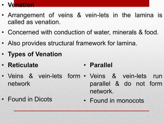 • Venation
• Concerned with conduction of water, minerals & food.
• Arrangement of veins & vein-lets in the lamina is
called as venation.
• Also provides structural framework for lamina.
• Reticulate
• Types of Venation
• Parallel
• Found in Dicots
• Veins & vein-lets form
network
• Found in monocots
• Veins & vein-lets run
parallel & do not form
network.
 