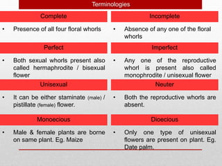 Complete
Terminologies
Incomplete
Perfect Imperfect
Unisexual Neuter
Monoecious Dioecious
• Presence of all four floral whorls • Absence of any one of the floral
whorls
• Both sexual whorls present also
called hermaphrodite / bisexual
flower
• Any one of the reproductive
whorl is present also called
monophrodite / unisexual flower
• It can be either staminate (male) /
pistillate (female) flower.
• Both the reproductive whorls are
absent.
• Male & female plants are borne
on same plant. Eg. Maize
• Only one type of unisexual
flowers are present on plant. Eg.
Date palm.
 