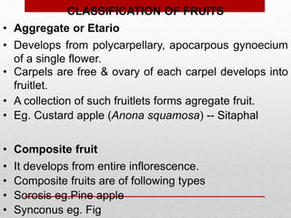 CLASSIFICATION OF FRUITS
• Aggregate or Etario
• Develops from polycarpellary, apocarpous gynoecium
of a single flower.
• A collection of such fruitlets forms agregate fruit.
• Composite fruit
• Composite fruits are of following types
• Sorosis eg.Pine apple
• Synconus eg. Fig
• It develops from entire inflorescence.
• Carpels are free & ovary of each carpel develops into
fruitlet.
• Eg. Custard apple (Anona squamosa) -- Sitaphal
 