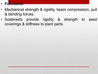 • Functions:
• Mechanical strength & rigidity, bears compression, pull
& bending forces.
• Scelereids provide rigidity & strength to seed
coverings & stiffness to plant parts.
 