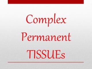 Complex
Permanent
TISSUEs
 