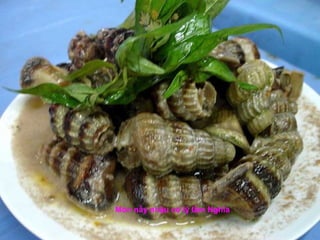 Món nầy nhậu có lý lắm Nghĩa
 