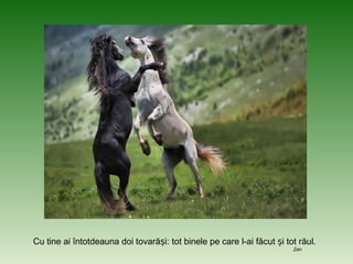 Cu tine ai întotdeauna doi tovară i: tot binele pe care l-ai făcut i tot răul.ș ș
Zen
 