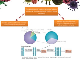 Em neoplasias do mesmo tecido de origem,
verifica-se simultaneamente ganho e perda
de função
Eventos genéticos diferentes
ocorrem individualmente em
diferentes tipos de tumor
Eventos genéticos diferentes ocorrem
sucessivamente no mesmo tumor
Ramdzan ZM, Nepveu A. CUX1, a haploinsufficient tumour suppressor gene overexpressed in advanced
cancers. Nature Reviews Cancer
 