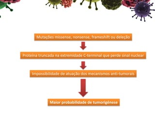 Mutações missense, nonsense, frameshift ou deleção
Proteína truncada na extremidade C-terminal que perde sinal nuclear
Impossibilidade de atuação dos mecanismos anti-tumorais
Maior probabilidade de tumorigénese
 