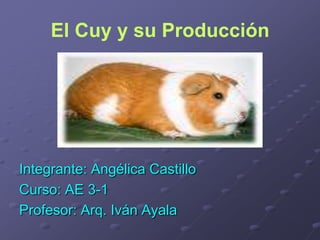 El Cuy y su Producción Integrante: Angélica Castillo Curso: AE 3-1 Profesor: Arq. Iván Ayala 