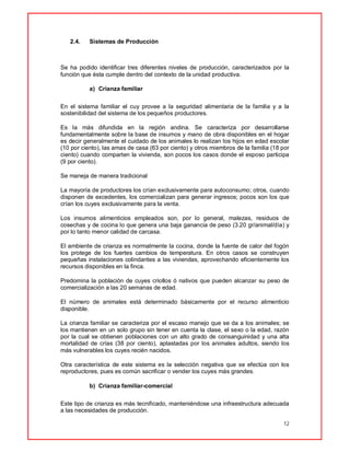 12
2.4. Sistemas de Producción
Se ha podido identificar tres diferentes niveles de producción, caracterizados por la
función que ésta cumple dentro del contexto de la unidad productiva.
a) Crianza familiar
En el sistema familiar el cuy provee a la seguridad alimentaria de la familia y a la
sostenibilidad del sistema de los pequeños productores.
Es la más difundida en la región andina. Se caracteriza por desarrollarse
fundamentalmente sobre la base de insumos y mano de obra disponibles en el hogar
es decir generalmente el cuidado de los animales lo realizan los hijos en edad escolar
(10 por ciento), las amas de casa (63 por ciento) y otros miembros de la familia (18 por
ciento) cuando comparten la vivienda, son pocos los casos donde el esposo participa
(9 por ciento).
Se maneja de manera tradicional
La mayoría de productores los crían exclusivamente para autoconsumo; otros, cuando
disponen de excedentes, los comercializan para generar ingresos; pocos son los que
crían los cuyes exclusivamente para la venta.
Los insumos alimenticios empleados son, por lo general, malezas, residuos de
cosechas y de cocina lo que genera una baja ganancia de peso (3.20 gr/animal/día) y
por lo tanto menor calidad de carcasa.
El ambiente de crianza es normalmente la cocina, donde la fuente de calor del fogón
los protege de los fuertes cambios de temperatura. En otros casos se construyen
pequeñas instalaciones colindantes a las viviendas, aprovechando eficientemente los
recursos disponibles en la finca.
Predomina la población de cuyes criollos ó nativos que pueden alcanzar su peso de
comercialización a las 20 semanas de edad.
El número de animales está determinado básicamente por el recurso alimenticio
disponible.
La crianza familiar se caracteriza por el escaso manejo que se da a los animales; se
los mantienen en un solo grupo sin tener en cuenta la clase, el sexo o la edad, razón
por la cual se obtienen poblaciones con un alto grado de consanguinidad y una alta
mortalidad de crías (38 por ciento), aplastadas por los animales adultos, siendo los
más vulnerables los cuyes recién nacidos.
Otra característica de este sistema es la selección negativa que se efectúa con los
reproductores, pues es común sacrificar o vender los cuyes más grandes.
b) Crianza familiar-comercial
Este tipo de crianza es más tecnificado, manteniéndose una infraestructura adecuada
a las necesidades de producción.
 