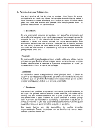 25
b. Parásitos Internos o Endoparásitos
Los endoparásitos tal cual lo indica su nombre, viven dentro del animal,
principalmente en intestinos e hígado de los cuyes alimentándose de sangre y
otras sustancias nutritivas, además de producir otros problemas. El animal pierde
peso y no crece. Los animales más jóvenes y mal nutridos pueden morir. Los
parásitos más comunes son los nemátados.
 Coccidiosis
Es una enfermedad producida por parásitos muy pequeños (protozoarios del
género Eimeria) que viven en los intestinos provocando hemorragias internas. Se
presenta de 10 a 15 días después del destete. Los cuyes dejan de comer,
adelgazan y tienen una diarrea verdosa con rasgos sanguinolentos. Esta
enfermedad se desarrolla más fácilmente cuando se colocan muchos animales
en una poza y cuando las pozas están sucias y húmedas. Normalmente la
coccidiosis se confunde con la salmonelosis y produce una elevada mortalidad
principalmente en las crías.
Prevención
Es recomendable limpiar las pozas entre un empadre y otro, y no colocar muchos
animales por poza. Destetar a los animales a las dos semanas de edad en pozas
limpias, desinfectadas y caleadas y finalmente proporcionar el forraje en
comederos para que no se mezcle con las heces.
Tratamiento
Se recomienda utilizar sulfaquinoxalinas como principio activo, y aplicar de
acuerdo a las indicaciones del producto. Es también recomendable el nitrofuran
k, Ifabiotic que son productos formulados como coccidiostatos que se pueden
emplear en el agua de bebida o en el alimento concentrado.
 Nemátados
Los nematodos o lombrices, son gusanitos blancos que viven en los intestinos de
los cuyes. Los gusanos hembras eliminan huevos diminutos junto con las heces
del cuy y de esta manera contaminan toda la poza, porque los cuyes que se
encuentran dentro la poza, se comen los huevos junto con el alimento y luego
estos huevecillos se desarrollan en su interior y se convierten en adultos en un
ciclo que dura entre 45 y 60 días. Estas lombrices consumen los nutrientes que el
cuy produce causando que el animal no aproveche lo que come.
Los cuyes jóvenes son más susceptibles, los adultos presentan
mayor resistencia. Pueden contagiarse con las lombrices de perros, gatos,
gallinas, chanchos, ovejas, etc.
 