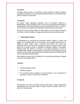 26
Prevención
No deben criarse cuyes en proximidad a otros animales. Se deben mantener
agrupados por tamaño y sexo. Proporcionándoles el alimento en comederos para
evitar el contacto con las heces.
Tratamiento
Se pueden utilizar diferentes productos como el Levamisol, Higromix B,
Mebendazol en agua de bebida o bien Ivo mec como inyectable intramuscular de
amplio espectro. Se puede dosificar en caso de problemas severos, una dosis a
los 30 días de edad, aplicando el tratamiento durante tres días consecutivos.
De igual manera se pueden utilizar remedios caseros como las pepas de papaya
en infusión o molle, dándoles en el agua de bebida durante tres días seguidos.
 Distomatosis Héptica
La Distomatosis es producida por la Fasciola heptica, distoma o gusano del
hígado. Es un parásito plano en forma de hoja, que en estado adulto vive en el
hígado de vacas, ovejas, cuyes y también en el hombre. Sus huevos son
eliminados junto con las heces. En el exterior se forma un gusano que se coloca
dentro de un caracol, donde se multiplica en estadíos similares a renacuajos,
después salen del caracol y se trepan a los pastos perdiendo su cola, se
enquisten hasta ingresar al estómago de los animales que se contagian al comer
el pasto con los quistes, luego atraviesan el intestino para entrar al hígado donde
crecen hasta llegar al estado adulto.
Este problema ocasiona gran mortalidad en los cuyes porque destruye el hígado
y produce hemorragias fuertes.
Síntomas
 Animales débiles o flacos.
 Pérdida de apetito.
 En un animal muerto, el hígado se ve como picado y con una especie de
gusanitos, o bien se muestra duro e inflamado.
Prevención
No alimentar a los cuyes con pastos donde comen vacas y ovejas. Alimentarlos
principalmente con las partes altas en pastos, porque los quistes están en la
parte más bajo del pasto.
 