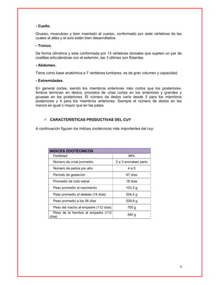 6
- Cuello.
Grueso, musculoso y bien insertado al cuerpo, conformado por siete vértebras de las
cuales el atlas y el axis están bien desarrollados.
- Tronco.
De forma cilíndrica y esta conformada por 13 vértebras dorsales que sujetan un par de
costillas articulándose con el esternón, las 3 últimas son flotantes.
- Abdomen.
Tiene como base anatómica a 7 vértebras lumbares, es de gran volumen y capacidad.
- Extremidades.
En general cortas, siendo los miembros anteriores más cortos que los posteriores.
Ambos terminan en dedos, provistos de uñas cortas en los anteriores y grandes y
gruesas en las posteriores. El número de dedos varía desde 3 para los miembros
posteriores y 4 para los miembros anteriores. Siempre el número de dedos en las
manos es igual o mayor que en las patas.
 CARACTERÍSTICAS PRODUCTIVAS DEL CUY
A continuación figuran los índices zootécnicos más importantes del cuy:
INDICES ZOOTÉCNICOS
Fertilidad 98%
Número de crías promedio 2 a 3 animales/ parto
Número de partos por año 4 a 5
Período de gestación 67 días
Promedio de ciclo estral 18 días
Peso promedio al nacimiento 103,3 g
Peso promedio al destete (14 días) 204,4 g
Peso promedio a los 56 días 539,8 g
Peso del macho al empadre (112 días) 700 g
Peso de la hembra al empadre (112
días)
540 g
 