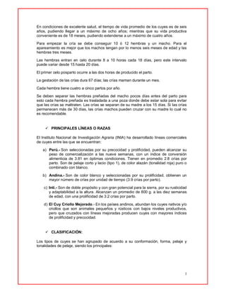 7
En condiciones de excelente salud, el tiempo de vida promedio de los cuyes es de seis
años, pudiendo llegar a un máximo de ocho años; mientras que su vida productiva
conveniente es de 18 meses, pudiendo extenderse a un máximo de cuatro años.
Para empezar la cría se debe conseguir 10 ó 12 hembras y un macho. Para el
apareamiento es mejor que los machos tengan por lo menos seis meses de edad y las
hembras tres meses.
Las hembras entran en celo durante 8 a 10 horas cada 18 días, pero este intervalo
puede variar desde 15 hasta 20 días.
El primer celo posparto ocurre a las dos horas de producido el parto.
La gestación de las crías dura 67 días; las crías maman durante un mes.
Cada hembra tiene cuatro a cinco partos por año.
Se deben separar las hembras preñadas del macho pocos días antes del parto para
esto cada hembra preñada es trasladada a una poza donde debe estar sola para evitar
que las crías se maltraten. Las crías se separan de su madre a los 15 días. Si las crías
permanecen más de 30 días, las crías machos pueden cruzar con su madre lo cual no
es recomendable.
 PRINCIPALES LÍNEAS O RAZAS
El Instituto Nacional de Investigación Agraria (INIA) ha desarrollado líneas comerciales
de cuyes entre las que se encuentran:
a) Perú.- Son seleccionadas por su precocidad y prolificidad, pueden alcanzar su
peso de comercialización a las nueve semanas, con un índice de conversión
alimenticia de 3.81 en óptimas condiciones. Tienen en promedio 2.8 crías por
parto. Son de pelaje corto y lacio (tipo 1), de color alazán (tonalidad roja) puro o
combinado con blanco.
b) Andina.- Son de color blanco y seleccionadas por su prolificidad, obtienen un
mayor número de crías por unidad de tiempo (3.9 crías por parto).
c) Inti.- Son de doble propósito y con gran potencial para la sierra, por su rusticidad
y adaptabilidad a la altura. Alcanzan un promedio de 800 g. a las diez semanas
de edad, con una prolificidad de 3.2 crías por parto.
d) El Cuy Criollo Mejorado.- En los países andinos, abundan los cuyes nativos y/o
criollos que son animales pequeños y rústicos con bajos niveles productivos,
pero que cruzados con líneas mejoradas producen cuyes con mayores índices
de prolificidad y precocidad.
 CLASIFICACIÓN:
Los tipos de cuyes se han agrupado de acuerdo a su conformación, forma, pelaje y
tonalidades de pelaje, siendo los principales:
 
