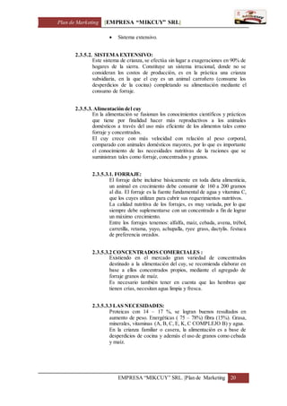 Plan de Marketing [EMPRESA “MIKCUY” SRL]
EMPRESA “MIKCUY” SRL. |Plan de Marketing 20
 Sistema extensivo.
2.3.5.2. SISTEMAEXTENSIVO:
Este sistema de crianza, se efectúa sin lugar a exageraciones en 90% de
hogares de la sierra. Constituye un sistema irracional, donde no se
consideran los costos de producción, es en la práctica una crianza
subsidiaria, en la que el cuy es un animal carroñero (consume los
desperdicios de la cocina) completando su alimentación mediante el
consumo de forraje.
2.3.5.3. Alimentación del cuy
En la alimentación se fusionan los conocimientos científicos y prácticos
que tiene por finalidad hacer más reproductivos a los animales
domésticos a través del uso más eficiente de los alimentos tales como
forraje y concentrados.
El cuy crece con más velocidad con relación al peso corporal,
comparado con animales domésticos mayores, por lo que es importante
el conocimiento de las necesidades nutritivas de la raciones que se
suministran tales como forraje, concentrados y granos.
2.3.5.3.1. FORRAJE:
El forraje debe incluirse básicamente en toda dieta alimenticia,
un animal en crecimiento debe consumir de 160 a 200 gramos
al día. El forraje es la fuente fundamental de agua y vitamina C,
que los cuyes utilizan para cubrir sus requerimientos nutritivos.
La calidad nutritiva de los forrajes, es muy variada, por lo que
siempre debe suplementarse con un concentrado a fin de lograr
un máximo crecimiento.
Entre los forrajes tenemos: alfalfa, maíz, cebada, avena, trébol,
carretilla, retama, yuyo, achupalla, ryee grass, dactylis. festuca
de preferencia oreados.
2.3.5.3.2 CONCENTRADOS COMERCIALES :
Existiendo en el mercado gran variedad de concentrados
destinado a la alimentación del cuy, se recomienda elaborar en
base a ellos concentrados propios, mediante el agregado de
forraje granos de maíz.
Es necesario también tener en cuenta que las hembras que
tienen crías, necesitan agua limpia y fresca.
2.3.5.3.3 LAS NECESIDADES:
Proteicas con 14 – 17 %, se logran buenos resultados en
aumento de peso. Energéticas ( 75 – 78%) fibra (15%). Grasa,
minerales, vitaminas (A, B, C, E, K, C COMPLEJO B) y agua.
En la crianza familiar o casera, la alimentación es a base de
desperdicios de cocina y además el uso de granos como cebada
y maíz.
 