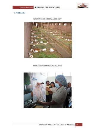Plan de Marketing [EMPRESA “MIKCUY” SRL]
EMPRESA “MIKCUY” SRL. |Plan de Marketing 28
V. ANEXOS.
GALPONES DE CRIANZA DEL CUY
PROCESO DE EMPACADO DEL CUY
 