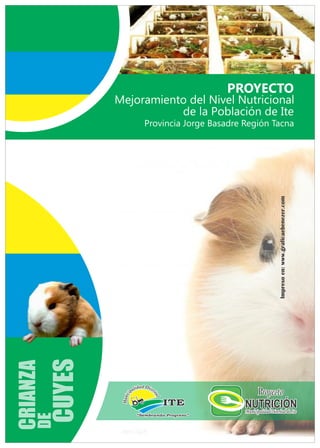Impresoen:www.graficaebenezer.com
NUTRICIÓNNUTRICIÓNNUTRICIÓN
ProyectoProyectoProyecto
PROYECTO
Mejoramiento del Nivel Nutricional
de la Población de Ite
Provincia Jorge Basadre Región Tacna
CRIANZA
DE
CUYES
 