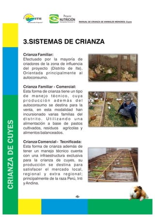 CRIANZADECUYES
Crianza Familiar:
Efectuado por la mayoría de
criadores de la zona de influencia
del proyecto (Distrito de Ite),
Orientada principalmente al
autoconsumo.
Crianza Familiar - Comercial:
Esta forma de crianza tiene un tipo
d e m a n e j o t é c n i c o , c u y a
p r o d u c c i ó n a d e m á s d e l
autoconsumo se destina para la
venta, en esta modalidad han
incursionado varias familias del
d i s t r i t o . U t i l i z a n d o u n a
alimentación a base de pastos
cultivados, residuos agrícolas y
alimentos balanceados.
Crianza Comercial - Tecnificada:
Esta forma de crianza además de
tener un manejo técnico cuenta
con una infraestructura exclusiva
para la crianza de cuyes, su
producción se destina para
satisfacer el mercado local,
regional y extra regional;
principalmente de la raza Perú, Inti
y Andina.
3.SISTEMAS DE CRIANZA
-6-
NUTRICIÓNMunicipalidad Distrital de Ite
Proyecto
MANUAL DE CRIANZA DE ANIMALES MENORES: Cuyes
 