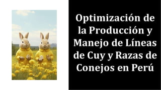 Optimización de
la Producción y
Manejo de Líneas
de Cuy y Razas de
Conejos en Perú
 