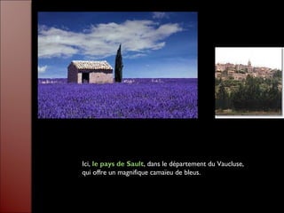 Ici, le pays de Sault, dans le département du Vaucluse,
qui offre un magnifique camaïeu de bleus.
 