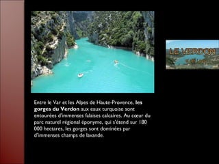 Entre le Var et les Alpes de Haute-Provence, les
gorges du Verdon aux eaux turquoise sont
entourées d'immenses falaises calcaires. Au cœur du
parc naturel régional éponyme, qui s'étend sur 180
000 hectares, les gorges sont dominées par
d'immenses champs de lavande.
 