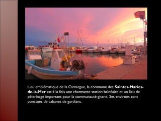 Lieu emblématique de la Camargue, la commune des Saintes-Maries-
de-la-Mer est à la fois une charmante station balnéaire et un lieu de
pèlerinage important pour la communauté gitane. Ses environs sont
ponctués de cabanes de gardians.
 