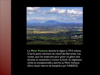 Le Mont Ventoux domine la région à 1912 mètres.
C'est le point culminant du massif des Barronies. Les
routes, que l'on emprunte pour gravir ce géant sont
étroites et serpentent à travers la forêt. Sa végétation
variée et exceptionnelle a permis au Mont Ventoux
d'être classé réserve de biosphère par l'UNESCO.
 