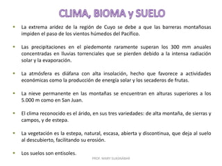 PROF. MARY SUASNÁBAR
 La extrema aridez de la región de Cuyo se debe a que las barreras montañosas
impiden el paso de los vientos húmedos del Pacífico.
 Las precipitaciones en el piedemonte raramente superan los 300 mm anuales
concentradas en lluvias torrenciales que se pierden debido a la intensa radiación
solar y la evaporación.
 La atmósfera es diáfana con alta insolación, hecho que favorece a actividades
económicas como la producción de energía solar y los secaderos de frutas.
 La nieve permanente en las montañas se encuentran en alturas superiores a los
5.000 m como en San Juan.
 El clima reconocido es el árido, en sus tres variedades: de alta montaña, de sierras y
campos, y de estepa.
 La vegetación es la estepa, natural, escasa, abierta y discontinua, que deja al suelo
al descubierto, facilitando su erosión.
 Los suelos son entisoles.
 