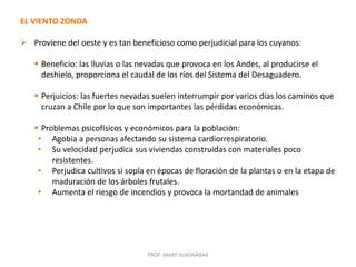 PROF. MARY SUASNÁBAR
EL VIENTO ZONDA
 Proviene del oeste y es tan beneficioso como perjudicial para los cuyanos:
 Beneficio: las lluvias o las nevadas que provoca en los Andes, al producirse el
deshielo, proporciona el caudal de los ríos del Sistema del Desaguadero.
 Perjuicios: las fuertes nevadas suelen interrumpir por varios días los caminos que
cruzan a Chile por lo que son importantes las pérdidas económicas.
 Problemas psicofísicos y económicos para la población:
• Agobia a personas afectando su sistema cardiorrespiratorio.
• Su velocidad perjudica sus viviendas construidas con materiales poco
resistentes.
• Perjudica cultivos si sopla en épocas de floración de la plantas o en la etapa de
maduración de los árboles frutales.
• Aumenta el riesgo de incendios y provoca la mortandad de animales
 