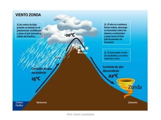 PROF. MARY SUASNÁBAR
 