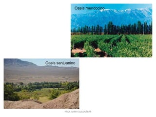 PROF. MARY SUASNÁBAR
Oasis mendocino
Oasis sanjuanino
 